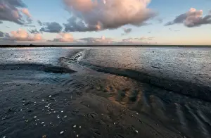 Netherlands Photography Drucke: Tidal stream in muddy flats of the Waddenzee