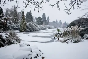 Drucke von Reisebilder, 160248477 Atemberaubende Szenen Aus Aller Welt Drucke: Schlösserpark Sheffield im Schnee