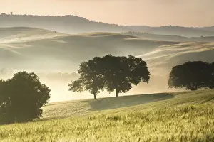 Rolling Hills Italy Drucke: tuscany 2008