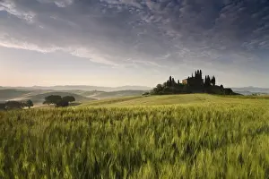 Italian Countryside Drucke: tuscany 2008