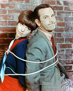 Get Smart