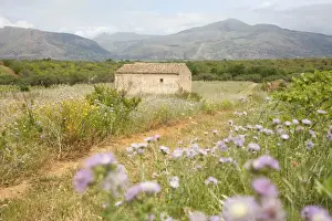 Palermo Architecture Drucke: View countryside
