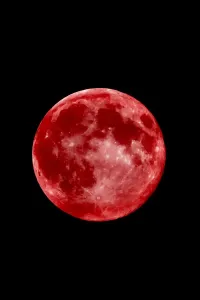 Drucke von Tief dunkler roter Blutmond Visueller Schatz Drucke: Blood Moon