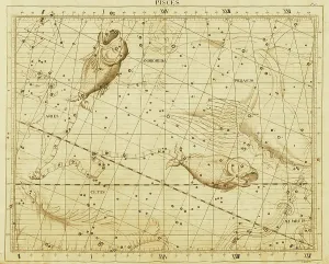 Entdecken Sie Ihre Lieblings-Zodiac-Illustration, Einschließlich Astrologischer Tierkreiszeichen, Chinesischer Tierkreiszeichen, Sternkarten Und Konstellationen. Drucke: Pisces