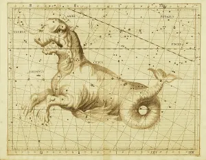 Cartography Artwork Drucke: Taurus