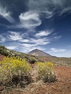 El Teide National Park Drucke: Volcano in spring