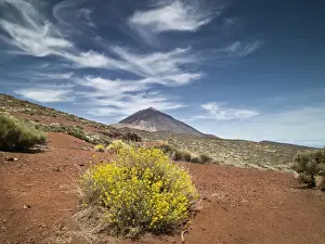 Tenerife Volcano Landscape Drucke: Volcano in springtime