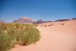 Jordan Travel Destinations Drucke: Wadi rum