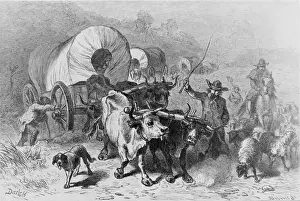 19th Century American History Drucke: Wagon Train