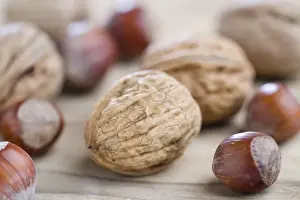 Studio Shot Of Nuts Drucke: Walnuts and hazelnuts