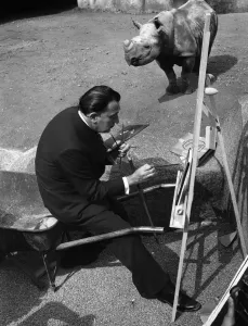 Drucke von Vor dem Nashorn des Zoos von Vincennes beendet der Maler Salvador Dali eine Kopie 'Die Spitze' und Vermeer, deren Original sich im Louvre befindet Salvador Dali Drucke: Salvador Dali vor dem Nashorn, Zoo von Vincennes.