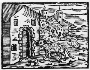 Teufel und Hexe verwandelt sich in Wolf und Katze - Compendium Maleficarum