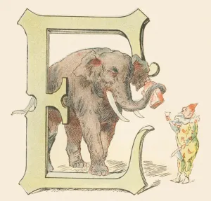 E: Elefant