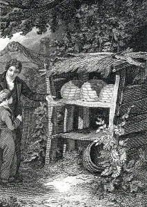 European Beekeeping Practices Drucke: A beekeeper