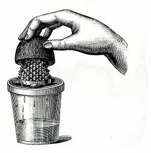Citrus Fruit Illustration Drucke: A lemon squeezer