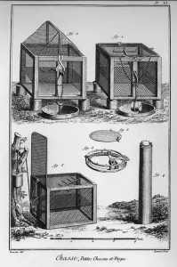 French School Of Thought Drucke: Encyclopedia or Dictionary of the Sciences, Arts and Professions by Denis Diderot