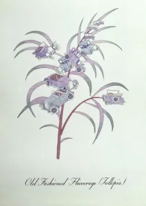 Altmodisches Flivverage (Fallopia.), Illustration aus The Bogus Book of Botany von John Weir, 1930-48 (Tusche auf Papier).