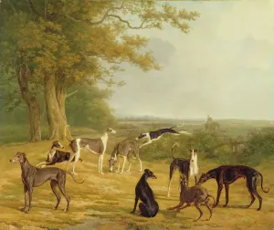 Bildende Kunst Drucke: Neun Grauhunde im Landschaft mit Öl auf Leinwand