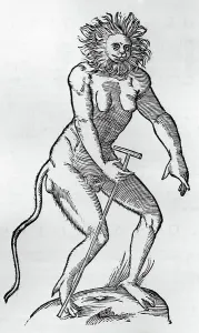 Ulisse Aldrovandi Artwork Drucke: Cercopithecus of human size and shape (Cercopithecus formae rarae)