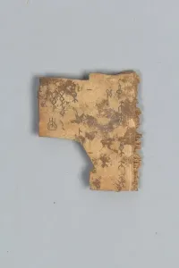 Fragment des Wahrsageknochens (Schale)