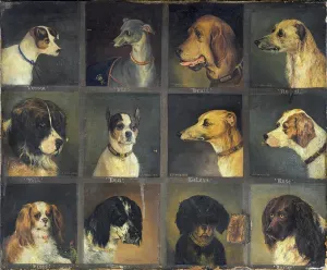 Drucke von BON64040 Zwölf Lieblings hunde, 1883 von Holt, Edwin Frederick (fl.1850-97); Private sammlung; Foto eBonhams , London, UK; Englis ch, öffentlicher Domänenbereich Aquarellbilder Drucke: Zwölf Lieblinge Hunde, 1883