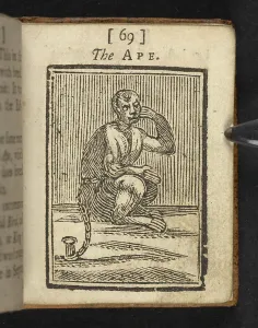 Wunder in der Tower of London, Zweite Auflage, von Thomas Boreman, 1741 (Holzschnitt).
