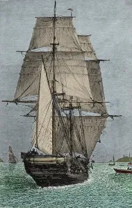 Die Beagle-Schiffsexpedition, an der Darwin als Naturforscher teilnahm.
