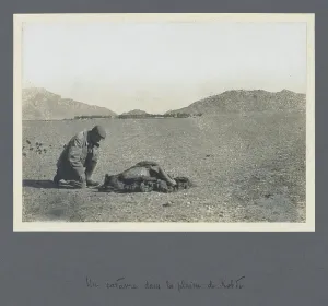 Mongolian Landscape Drucke: A corpse in the Kobdo plain