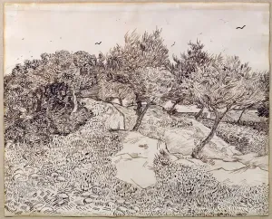 Drucke von XIR56652 Die Olivenbäume (Tinte auf Papier mit Bleistift) von Van Gogh-Vincent 1853–1890; Musée des Beaux-Arts in Tournai Belgien Niederländisch urheberrechtlich freigeben Impressionistische Gemälde Drucke: Die Olivenbäume (Tinte auf Papier)
