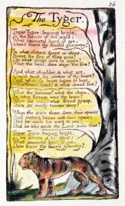 Der Tiger, Tafel 36 (Bentley Nr. 42), aus den Liedern von der Unschuld und Erfahrung