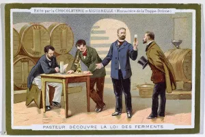 Louis Pasteur entdeckt Fermentierung, Werbeanzeige für die Chocolaterie d