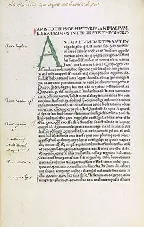 Italian Renaissance Artifacts Drucke: Manuscript by Aristotle