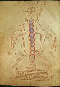 Temp-Klassifizierung Drucke: Anatomische Tafel von Galen