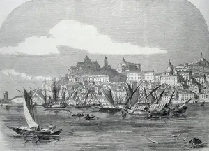 Italian Armed Forces History Drucke: Ancona, 1860