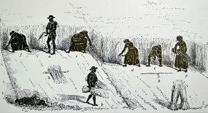 British Farmland Drucke: The Book of the Farm, 1855