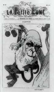 Karikatur, 1871.