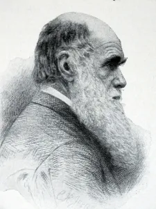 Victorian Era Scientist Drucke: Charles Robert Darwin, 1850