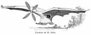 French Aviation Pioneer Drucke: Clement Ader's flying bird Eole (Aole)