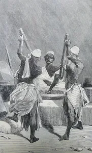 Kaffeebohnen, 1882 (Stechzeichnung)