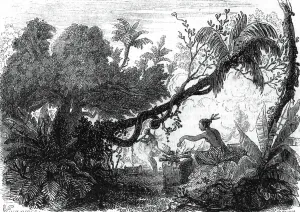 South America History Drucke: Collecting rubber by tapping the rubber trees, in Para, Brazil, engraving in 1853