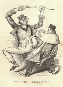 Irish Politician Drucke: Daniel O'Connell (1755-1847) The Liberator