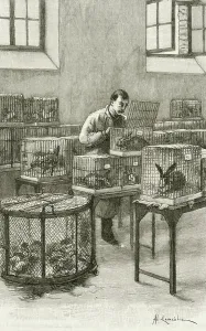 Vintage Medical Art Drucke: Experiment on animals infected with rabies. 19th century (engraving)