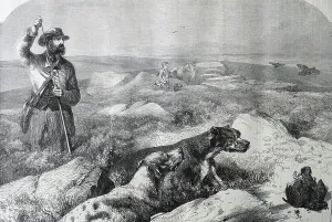 Grouse Shooting Drucke: Grouse shooting