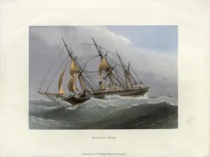 Royal Navy Ship Drucke: HMS Wild Swan