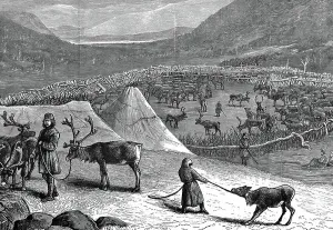 Lappens Lager mit Rentierkoppel. Nomadische Viehzüchter der arktischen Regionen, deren Rentiere Nahrung, Kleidung, Werkzeuge und Transportmittel lieferten, Holzstich 1882.