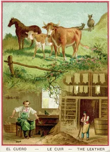 Historical Lithograph Prints Drucke: Leather: from the cattle to the tanner and the cobbler workshop