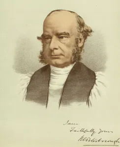 Tinted Lithograph Artwork Drucke: Portrait of William Magee