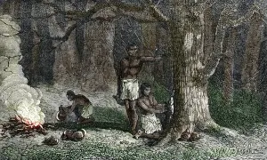 South American Agriculture Drucke: Rubber tapping in brazilian forest. 19th century, (engraving)