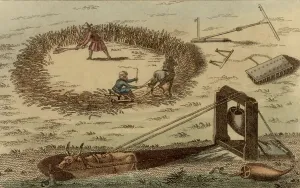 Farm Animal Illustration Drucke: Threshing corn using a horse pulling a sledge