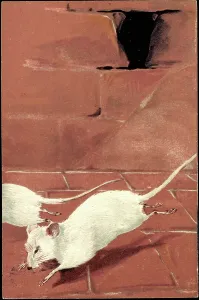Colourful Postcard Prints Drucke: Two White Mice, 1903 (lithograph)